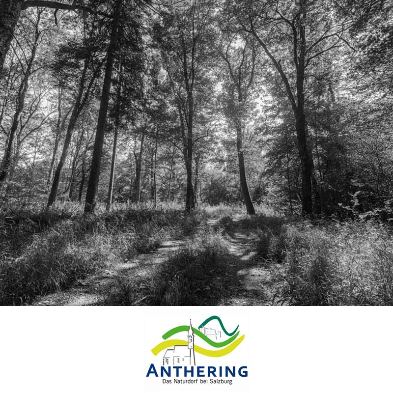 Tourismusverband Anthering